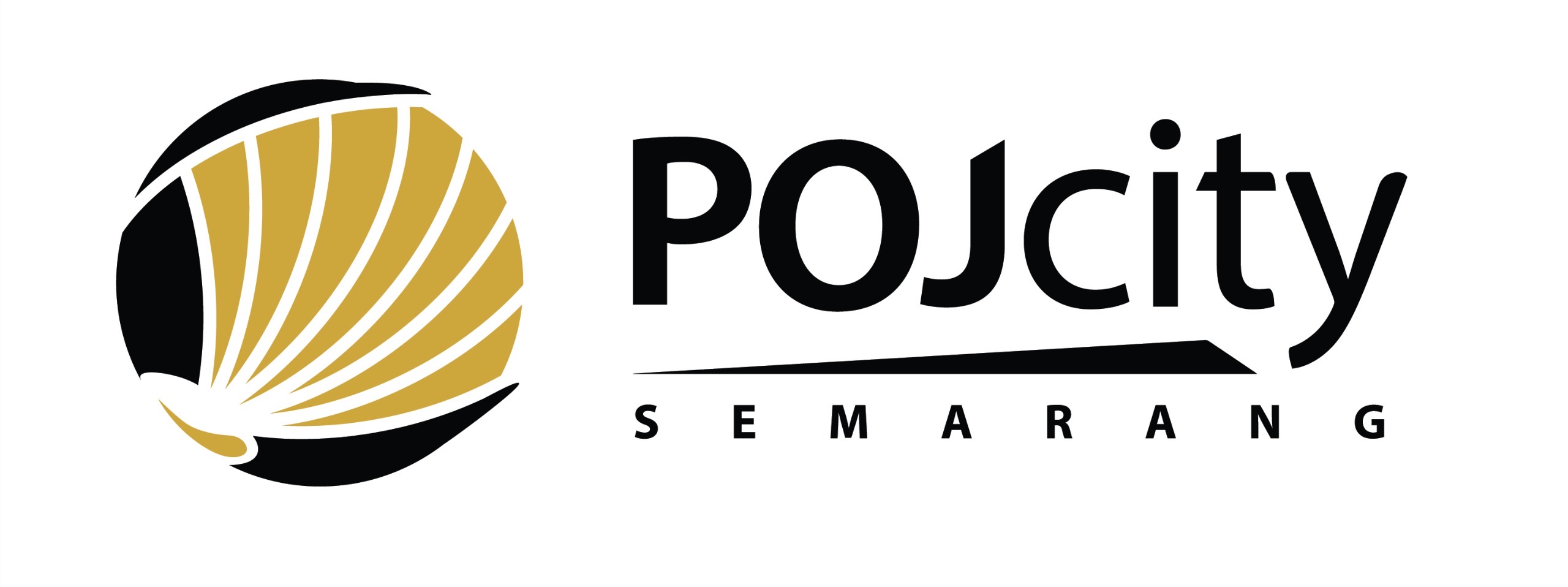 POJ City